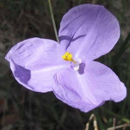 images (32)